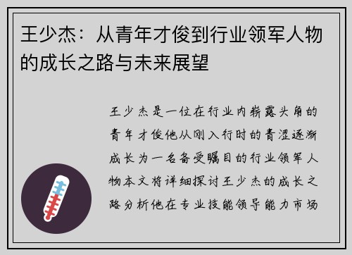 王少杰：从青年才俊到行业领军人物的成长之路与未来展望